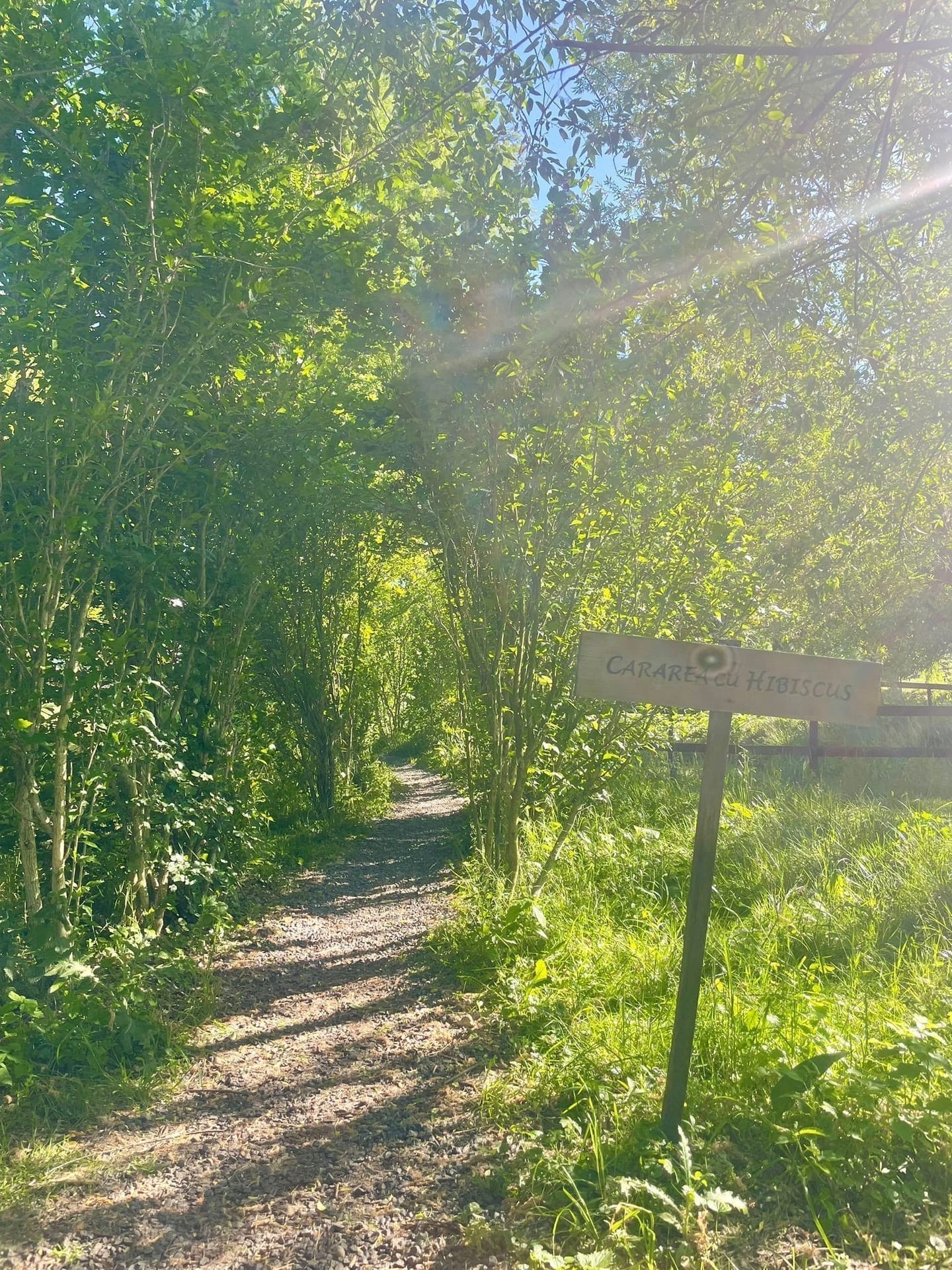Natură la Domeniile Murani
